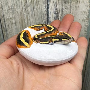 May include: A hand-painted, coiled snake figurine. The snake features a pattern of black, yellow, and orange markings on a white base. The figurine is a decorative item, likely for display or as a collectible.