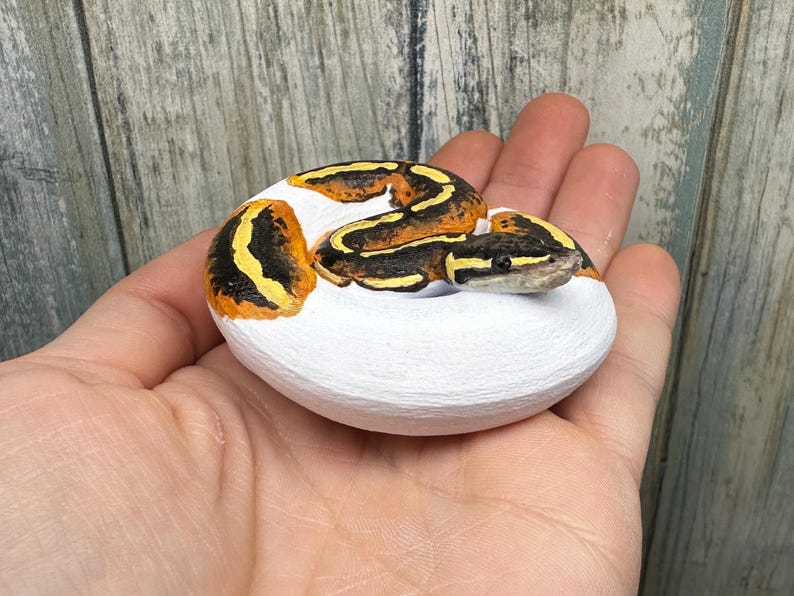 May include: A hand-painted, coiled snake figurine. The snake features a pattern of black, yellow, and orange markings on a white base. The figurine is a decorative item, likely for display or as a collectible.