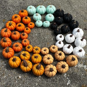 May include: A collection of decorative pumpkins in various colors, including orange, teal, black, white, and tan. The pumpkins are arranged in a semi-circle, showcasing their different sizes and textures. Perfect for fall decor.