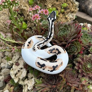 Ball python figurine (large) image 2