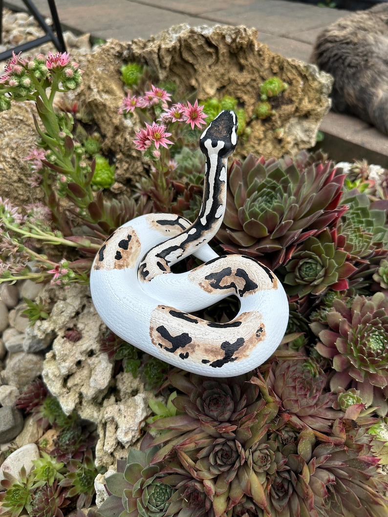 Ball python figurine (large) image 2