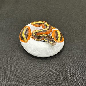 May include: A hand-painted, decorative stone shaped like a coiled snake. The snake has a brown and yellow pattern on a white base. The snake's head is visible, adding detail to the artwork. This item is a unique home decor piece.