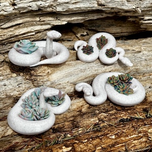 Ball python “Stone and flower” figurine variety