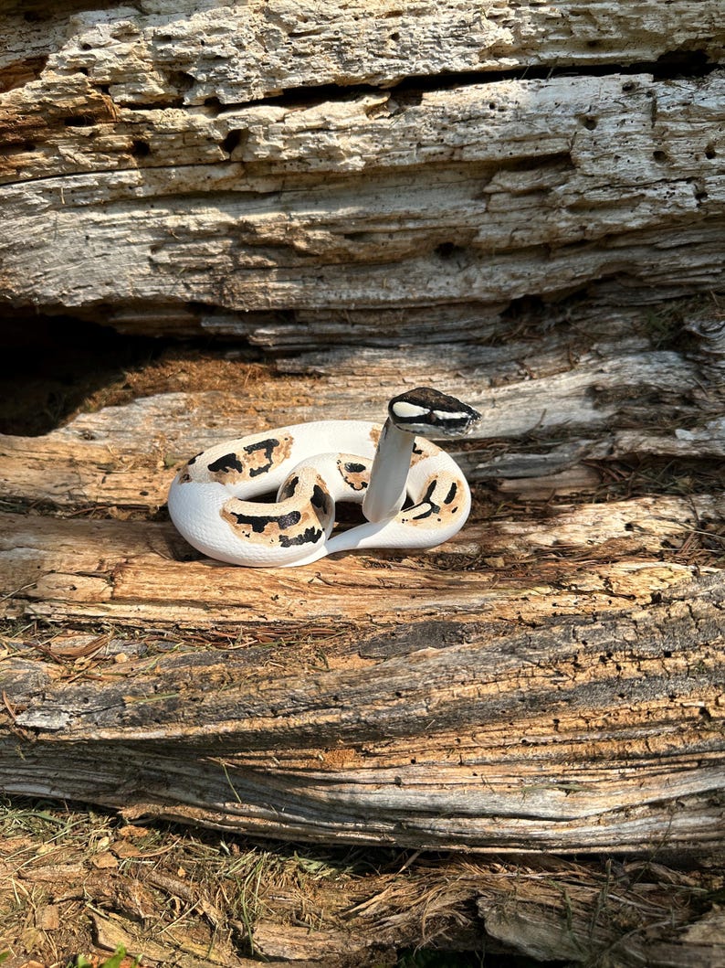 Ball python figurine (large) image 1