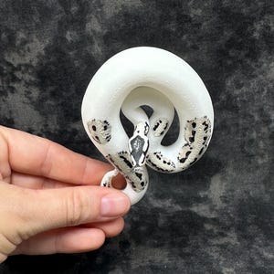 Ball python ornament (medium) Bild 2