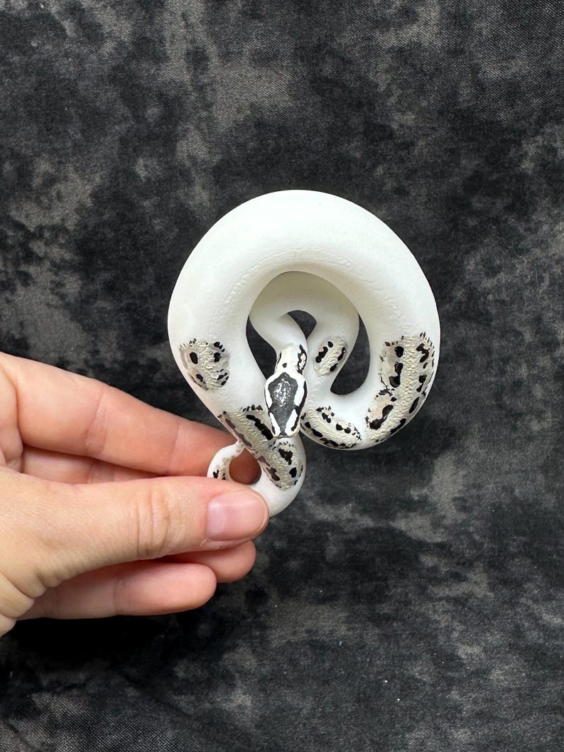 Ball python ornament (medium) Bild 2