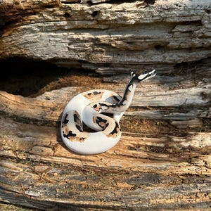 Ball python figurine (large) image 8