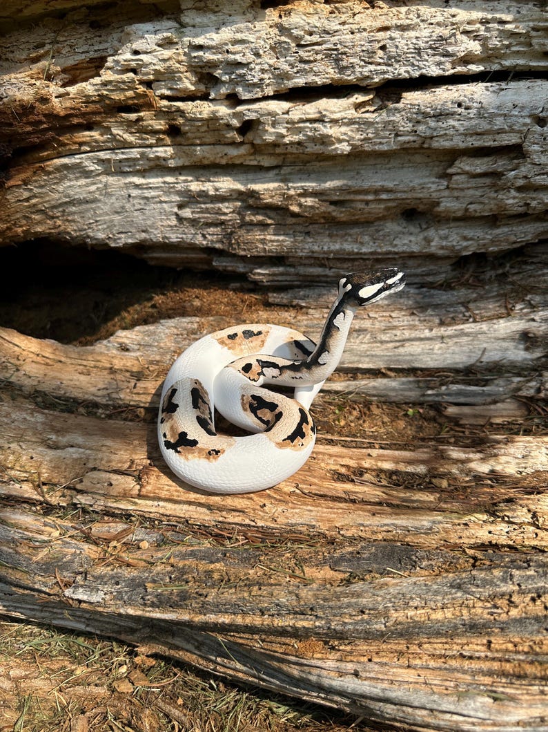 Ball python figurine (large) image 8