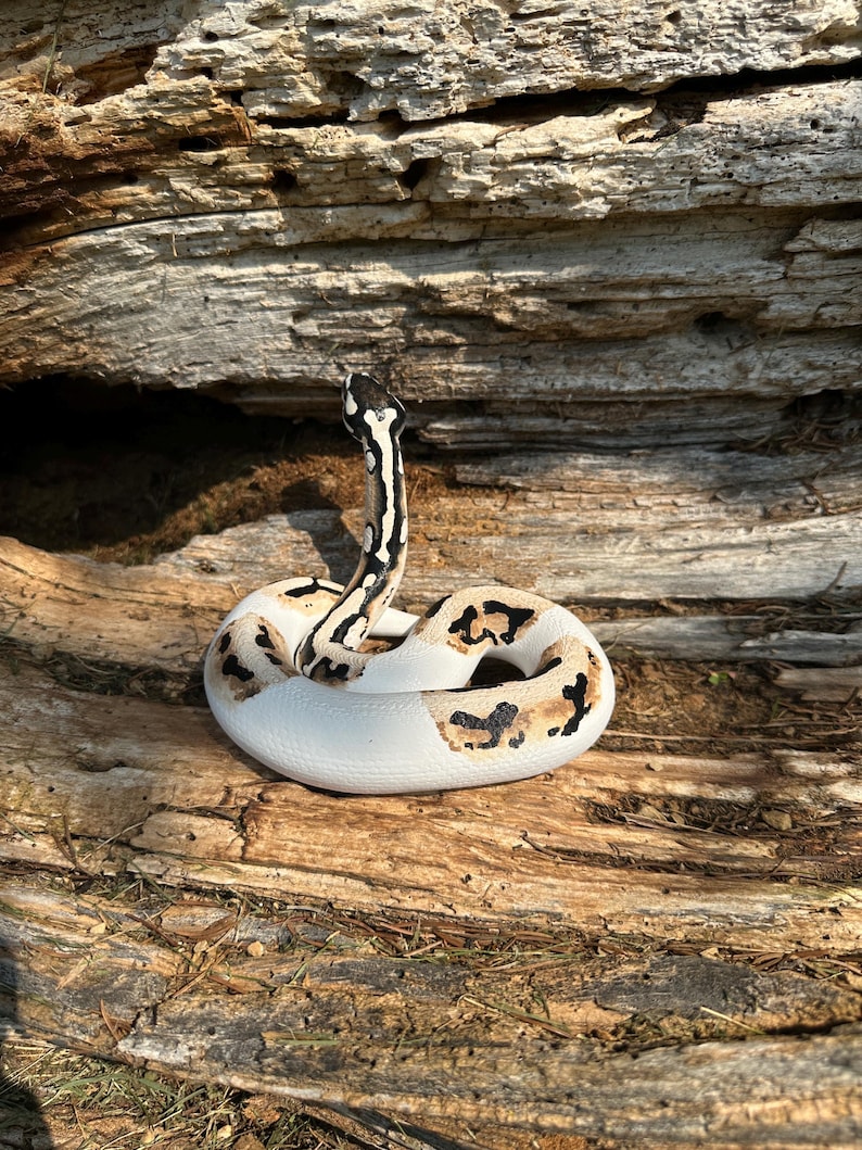 Ball python figurine (large) image 3