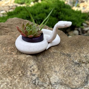 May include: A white, speckled, coiled snake-shaped planter with a dark purple interior rim. A small green succulent plant with reddish-tipped leaves is planted inside the center of the coiled snake body, which features a raised head.