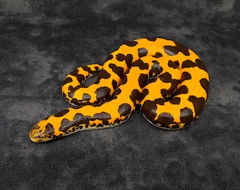 Kenyan sand boa figurine