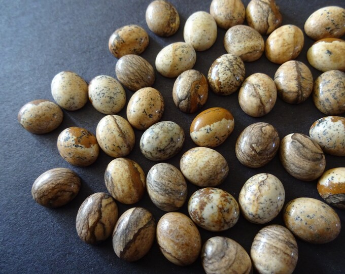 10x8mm Natural Picture Jasper Gemstone Cabochon, Oval Cabochon, Polished Oval, Stone Cabochon, Natural Gemstone, Polished Jasper Gemstone