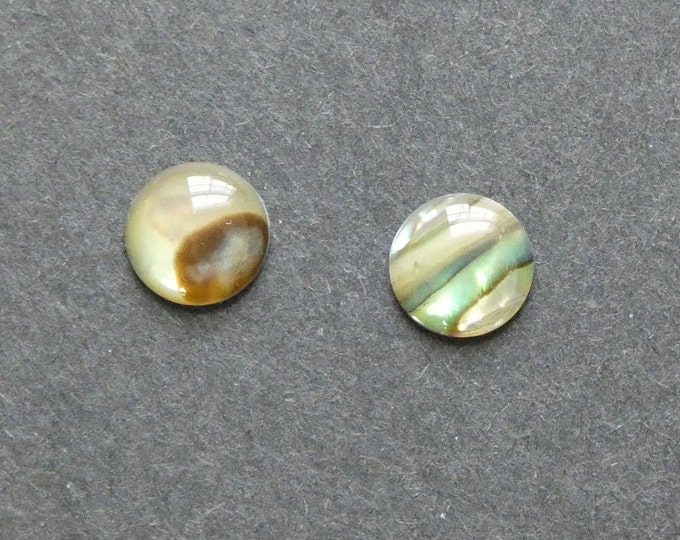 2 PACK 10mm Natural Paua Shell Cabochons, Coated Seashell Round Cabs, Green and Iridescent, As Seen In Image, Only One Set Available, Unique