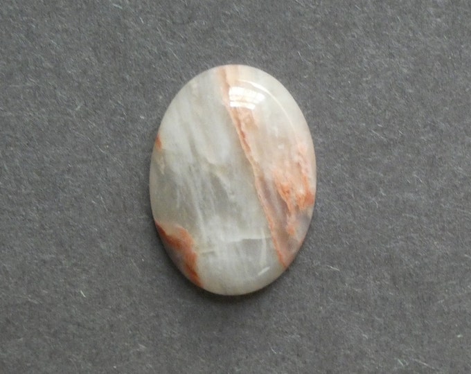 25x18mm Natural Petrified Wood Cabochon, One of a Kind, Large Oval, Only One Available, Unique Petrified Wood Cabochon, Natural Stone