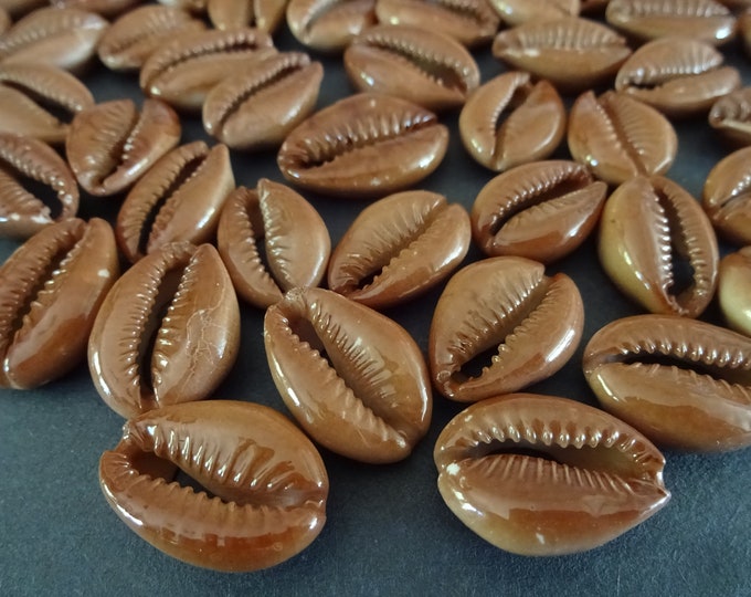 20-25mm Painted Natural Cowrie Shell Beads, Undrilled Spiral Shell, Brown Color, Natural Shell, Cowries, Beach Shells, Painted Shell