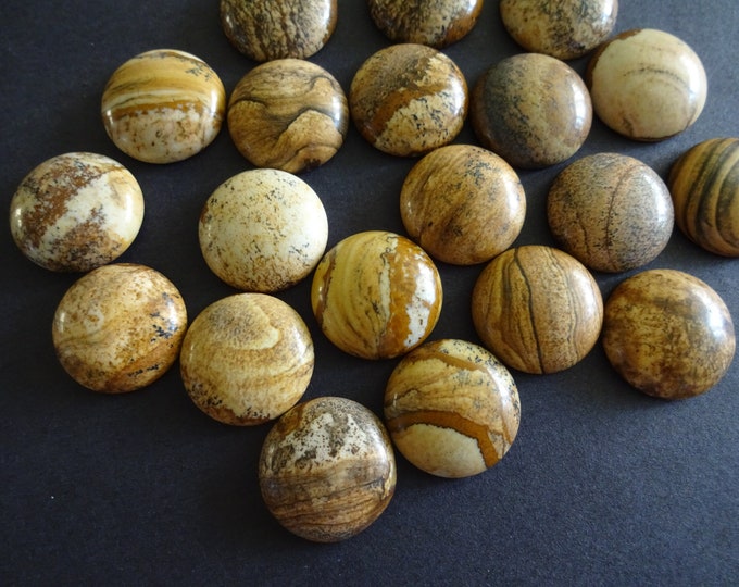 20mm Natural Picture Jasper Gemstone Cabochon, Round Cabochon, Polished Dome Gem, Stone Cabochon, Natural Gemstone, Polished Jasper Gemstone