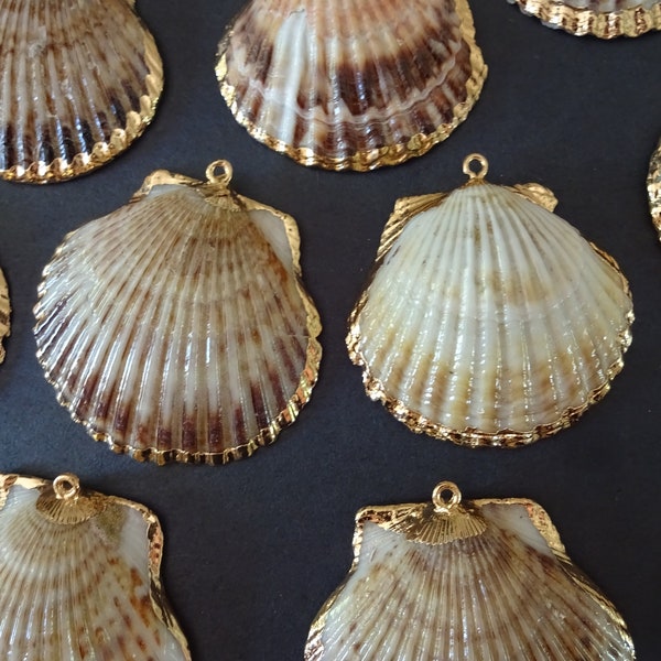 50-68mm Natural Seashell Pendants With Golden Edges, Electroplated Large Shell Charms, Beige & Gold, Striped Seashells With Metal Loops