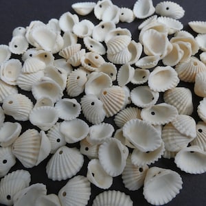10-30mm Natural Spiral Shell Beads, Drilled Seashells, Sea Shells, Nautical Style, Summer Jewelry Making, Tropical Theme, 10-30x14-18x5-6mm
