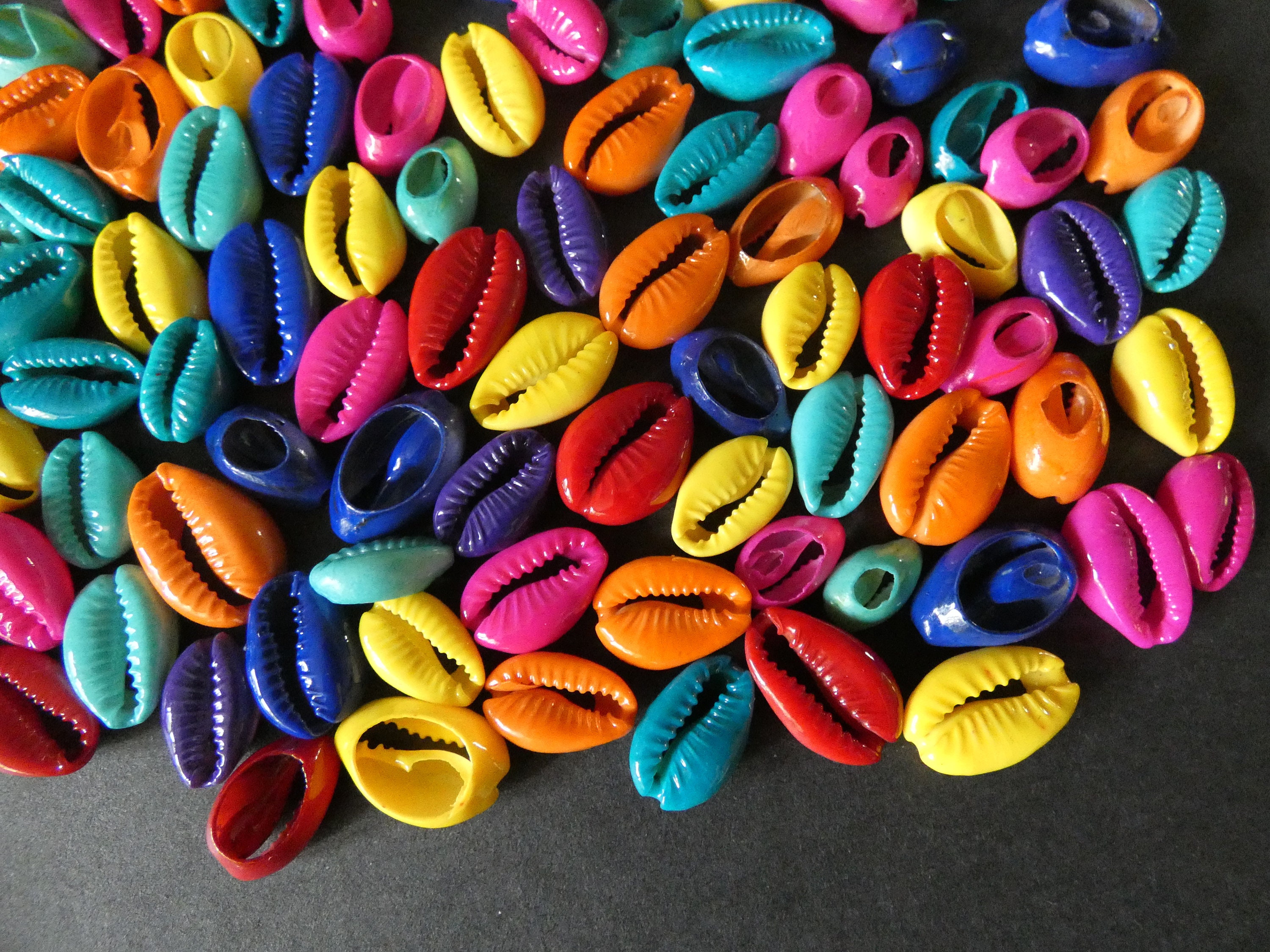 1518mm Natural Cowrie Shell Beads, Dyed Bright Mixed Colors, Spiral