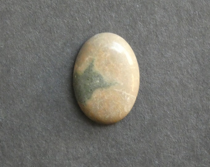 25x18mm Natural Fossil Coral Cabochon, Oval Cabochon, Natural Gemstone, Polished, Natural Stone, Gemstone Cabochon, One of a Kind, Unique