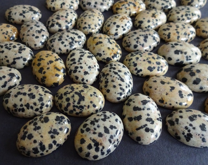 25x18mm Natural Dalmatian Jasper Cabochon, Oval Gemstone Cabochon, Polished Gem, Spotted Stone, Jasper Stone, Speckled Beige & Black