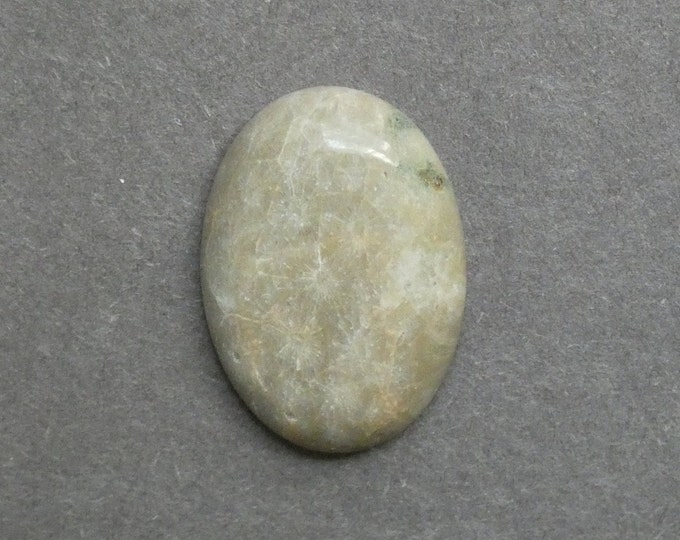 25x18mm Natural Fossil Coral Cabochon, Oval Cabochon, Natural Gemstone, Polished, Natural Stone, Gemstone Cabochon, One of a Kind, Unique