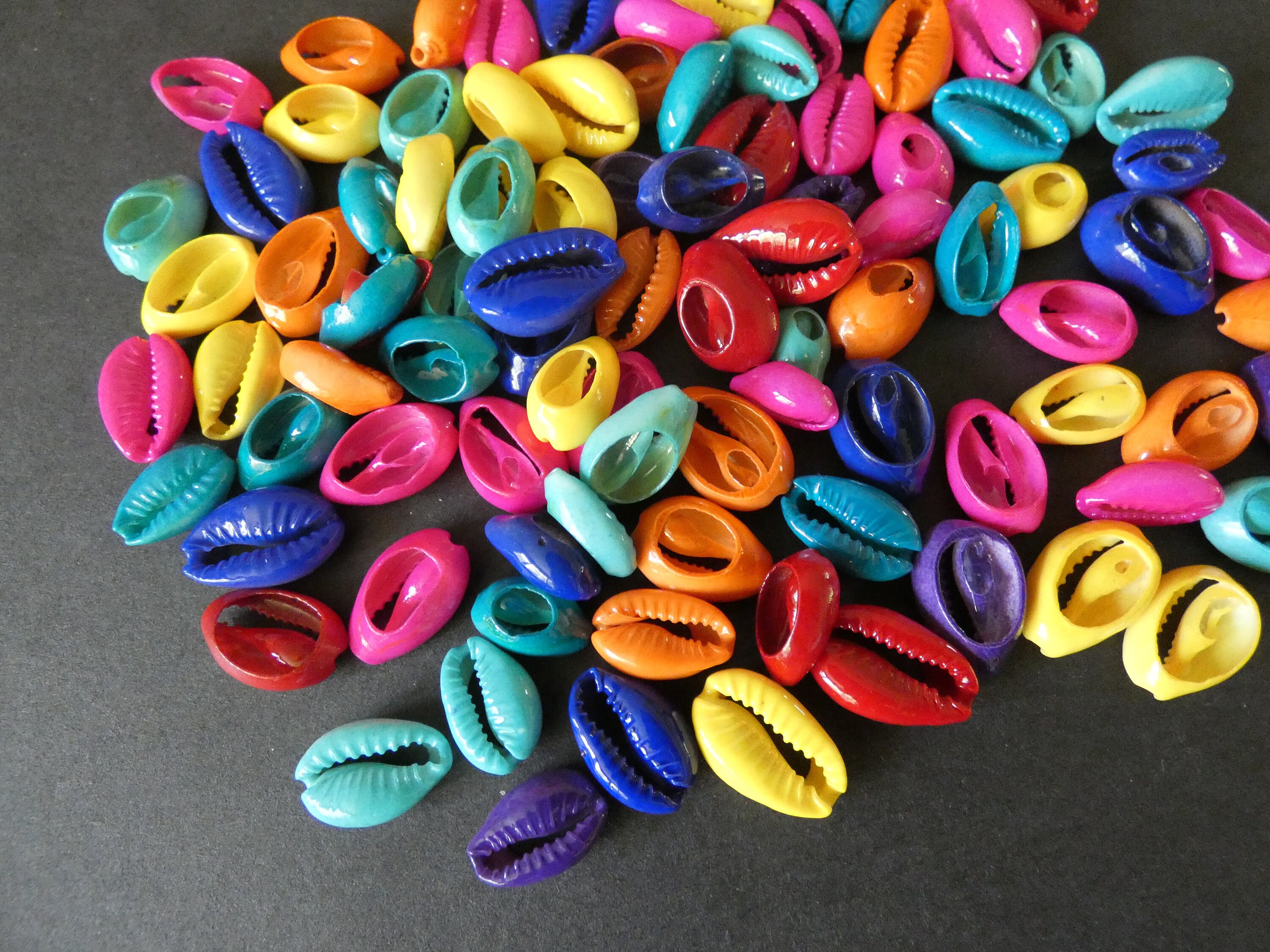1518mm Natural Cowrie Shell Beads, Dyed Bright Mixed Colors, Spray