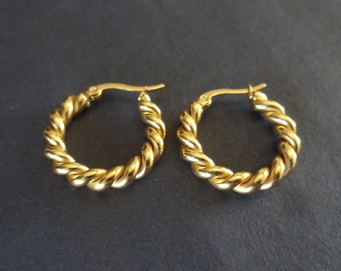 Stainless Steel Gold Twisted Rope Hoop Earrings, Hypoallergenic, Vacuum Plated, Twisted Hoops, Set Of Golden Earrings, 24.5mm, Elegant Hoops