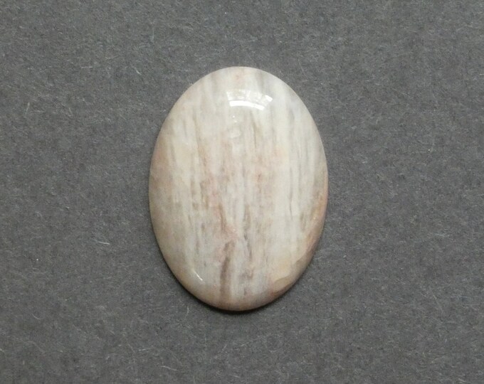 30x22mm Natural Petrified Wood Cabochon, Large Oval, One of a Kind, Only One Available, Unique Petrified Wood Cabochon, Natural Stone