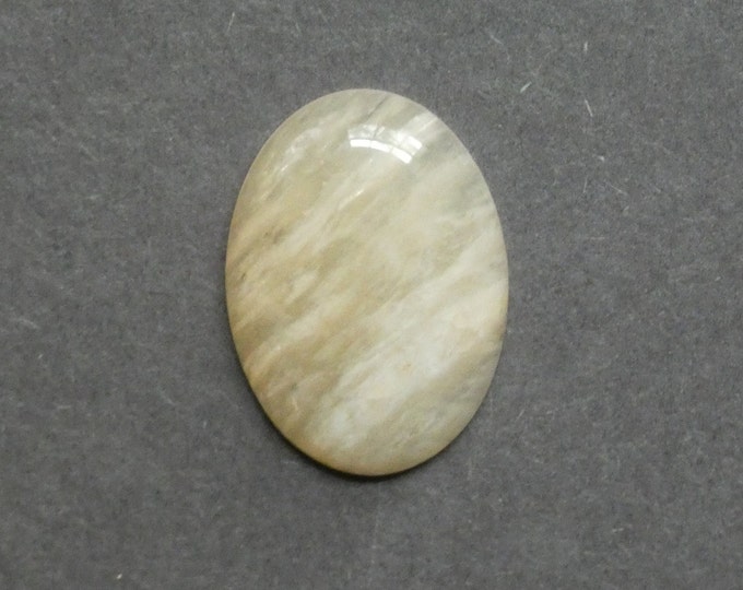 30x22mm Natural Petrified Wood Cabochon, Large Oval, One of a Kind, Only One Available, Unique Petrified Wood Cabochon, Natural Stone