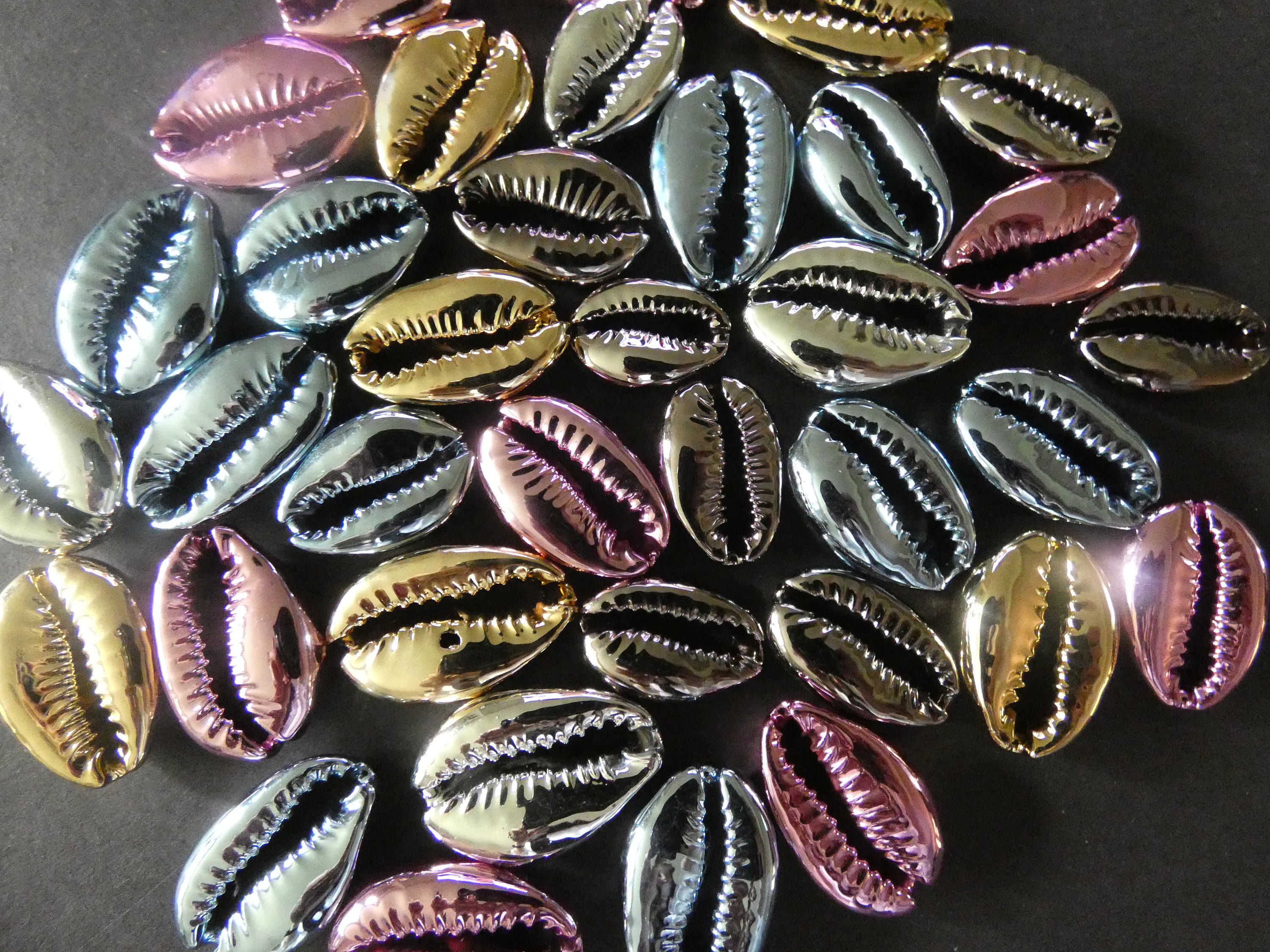 2025mm UV Plated Natural Cowrie Shell Beads, Undrilled Spiral Shell