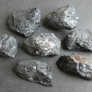 May include: Seven black, rough, and irregularly shaped stones. The stones have a slightly metallic sheen and are arranged on a gray surface.
