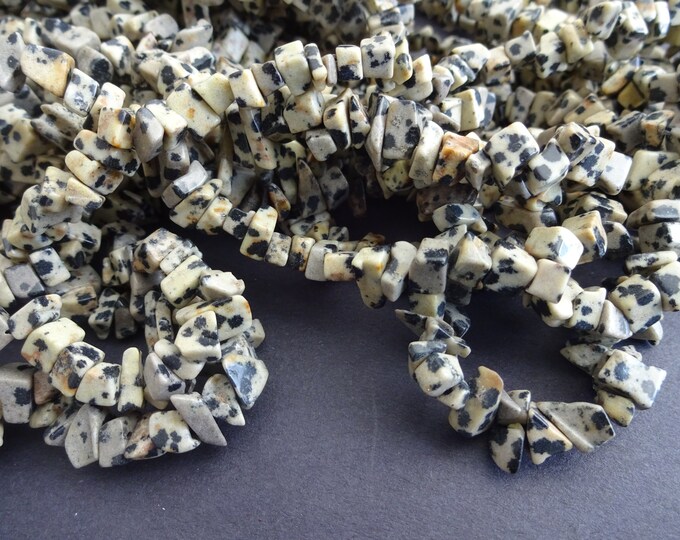 34 Inch Strand Natural Dalmatian Jasper Chip Bead Strand, 8-9mm Jasper Chips, About 275 Beads Per Strand, Beige and Black, Spotted Stones