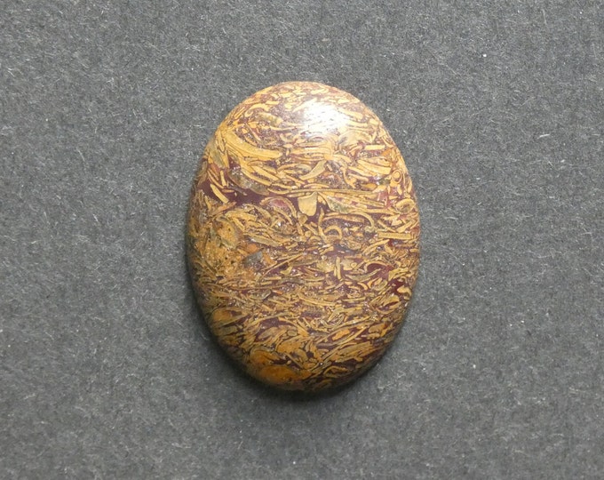 40x30mm Natural Chrysanthemum Stone Cabochon, Large Oval, Brown, One Of A Kind, As Seen In Image, Only One Available, Chrysanthemum Stone