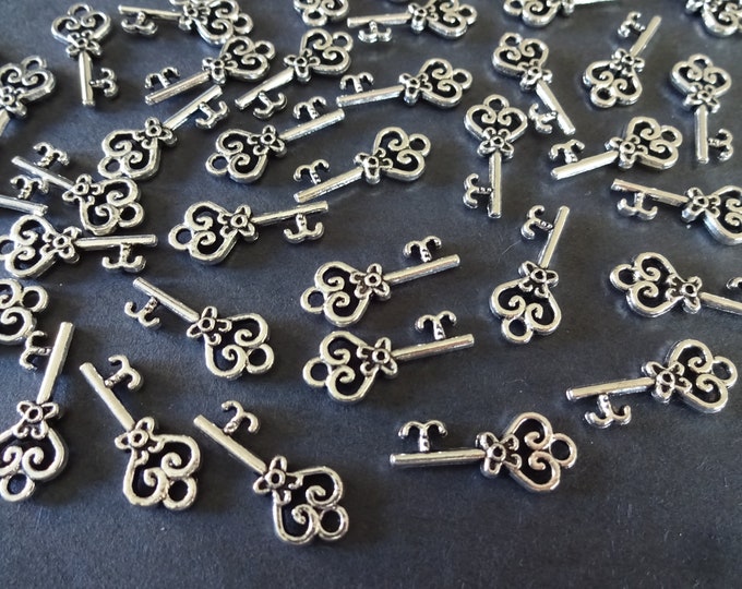 50 PACK Metal Key Pendant Set, 21x9mm, Antiqued Keys, Vintage Theme, Bohemian, Key Charms, Pack of Key Pendants, LIMITED SUPPLY, Hot Deal!