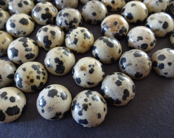 12x4mm Natural Dalmatian Jasper Gemstone Cabochon,  Round Cabochon, Polished Gem, Stone Cabochon, Natural Gemstone, Polished, Jasper Stone