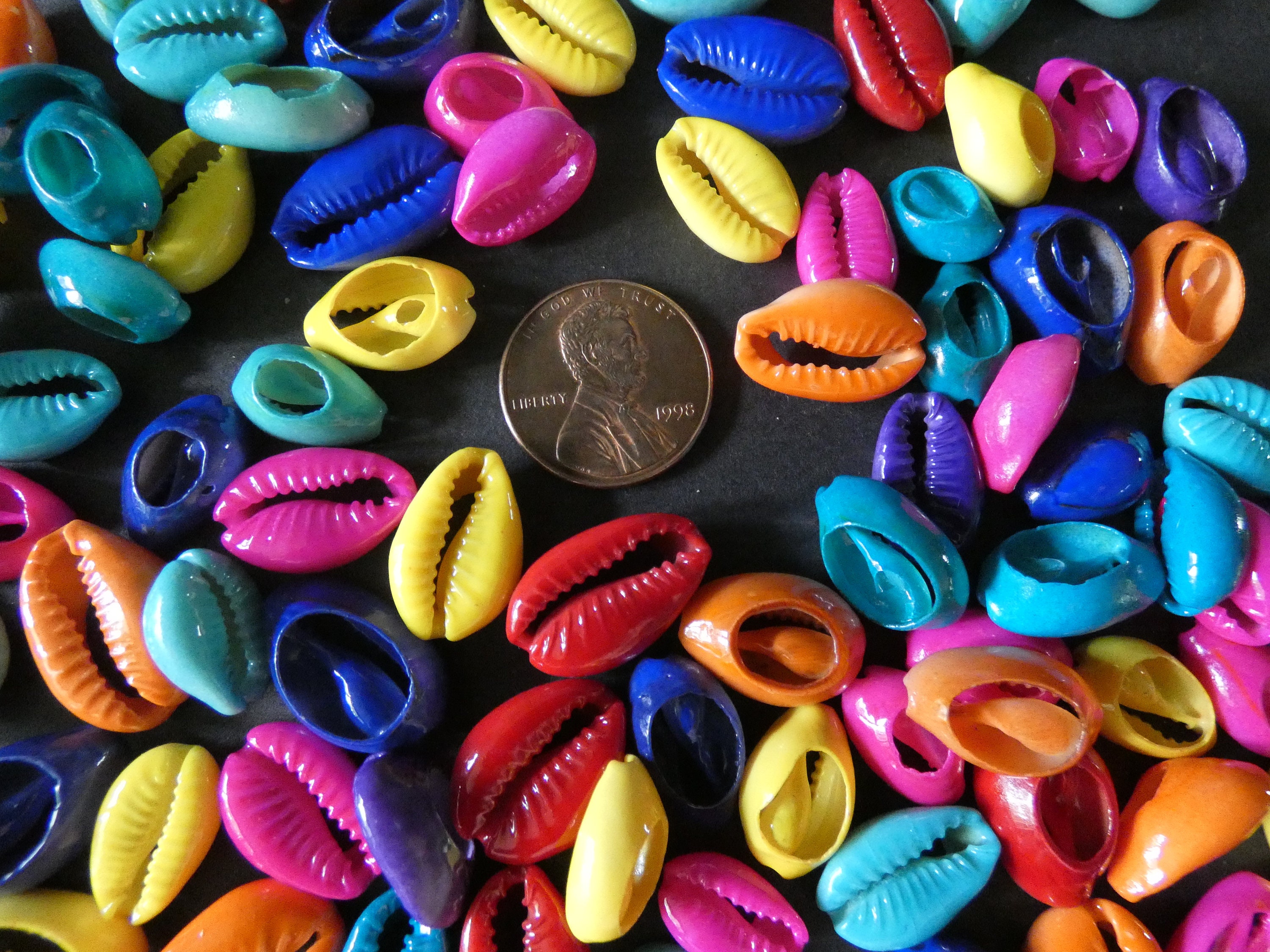 1518mm Natural Cowrie Shell Beads, Dyed Bright Mixed Colors, Spray