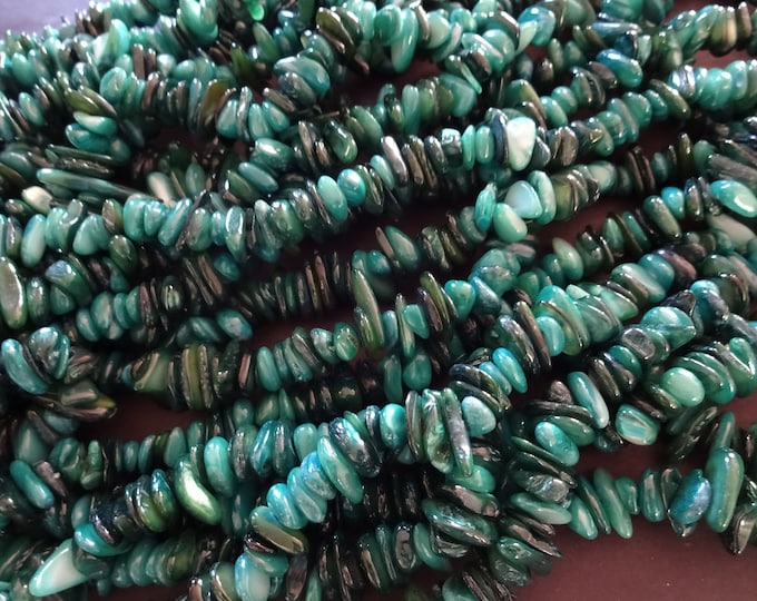 30 Inch 8-28mm Natural Freshwater Shell Bead Strand, Dyed, About 340-380 Beads, Teal Blue, Shell Nuggets & Chips, Drilled Seashell Bead