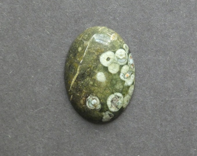 30x22mm Natural Rhyolite Jasper Cabochon, Oval, Green, One of a Kind, Gemstone Cabochon, Only One Available, Rhyolite Jasper,Unique Cabochon