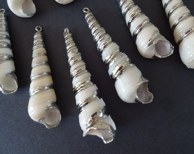 38-76mm Natural Spiral Shell Pendants With Silver Color Swirls, Electroplated Seashell Charms, White & Silver, Seashells With Brass Loops