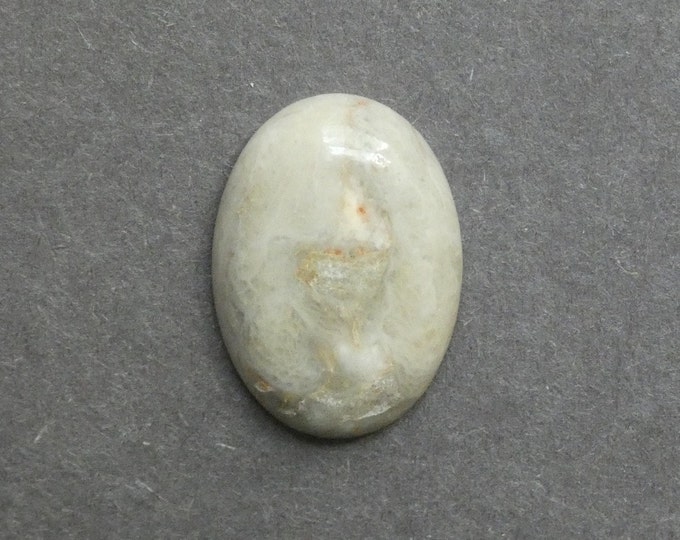 25x18mm Natural Fossil Coral Cabochon, Oval Cabochon, Natural Gemstone, Polished, Natural Stone, Gemstone Cabochon, One of a Kind, Unique