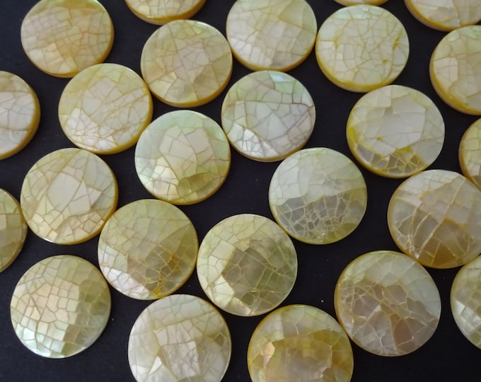 16mm Natural Seashell Cabochons, Round Freshwater Seashell Cabs, Pale Goldenrod Yellow, Shell Cab, Freshwater Shell Jewelry