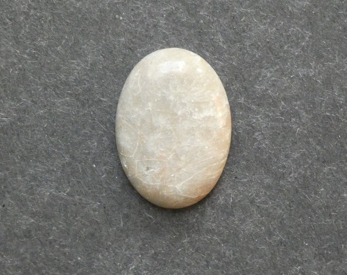 25x18mm Natural Fossil Coral Cabochon, Oval Cabochon, Natural Gemstone, Polished, Natural Stone, Gemstone Cabochon, One of a Kind, Unique