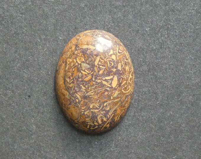 40x30mm Natural Chrysanthemum Stone Cabochon, Large Oval, Brown, One Of A Kind, As Seen In Image, Only One Available, Chrysanthemum Stone