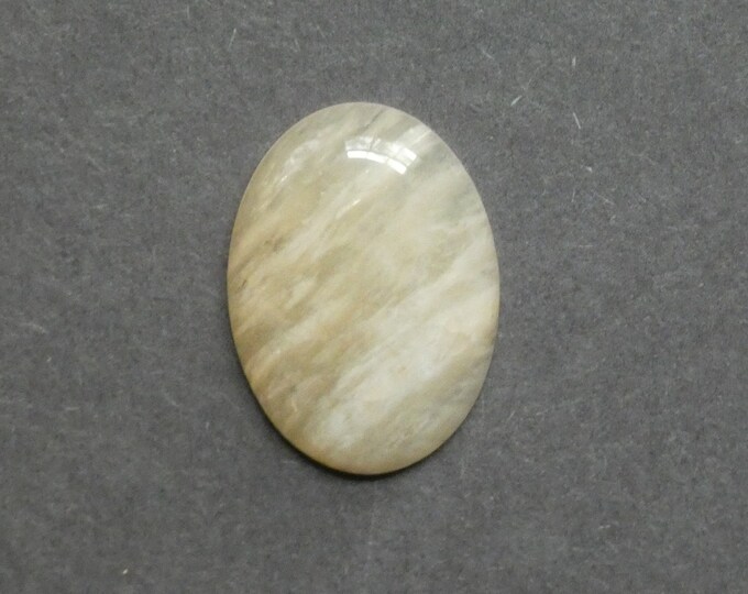 30x22mm Natural Petrified Wood Cabochon, Large Oval, One of a Kind, Only One Available, Unique Petrified Wood Cabochon, Natural Stone