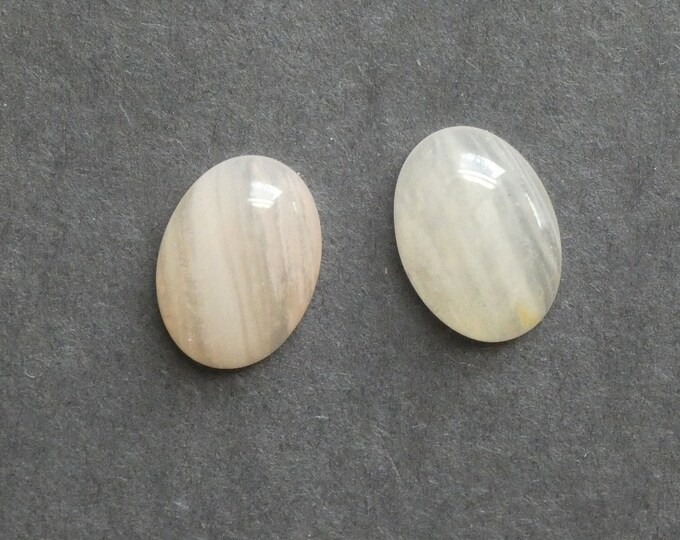 2PK 20x15mm Natural Petrified Wood Cabochons, One of a Kind, Only One Available, Oval, Unique Petrified Wood Cabochon, Natural Stone Set