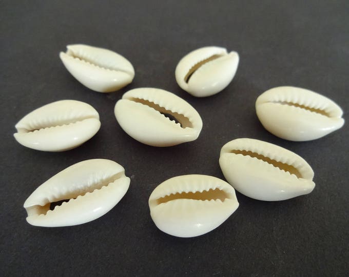 18-20mm Natural Cowrie Shell Beads, 13-14mm wide, Spiral Shell, White Color, Natural Shell, Nautical, Beachy, Cowries, Beach Shells, Neutral