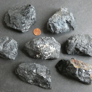 May include: Seven black, rough, and irregularly shaped stones. The stones are various sizes and have a dark, almost metallic sheen. A copper penny is included for scale.
