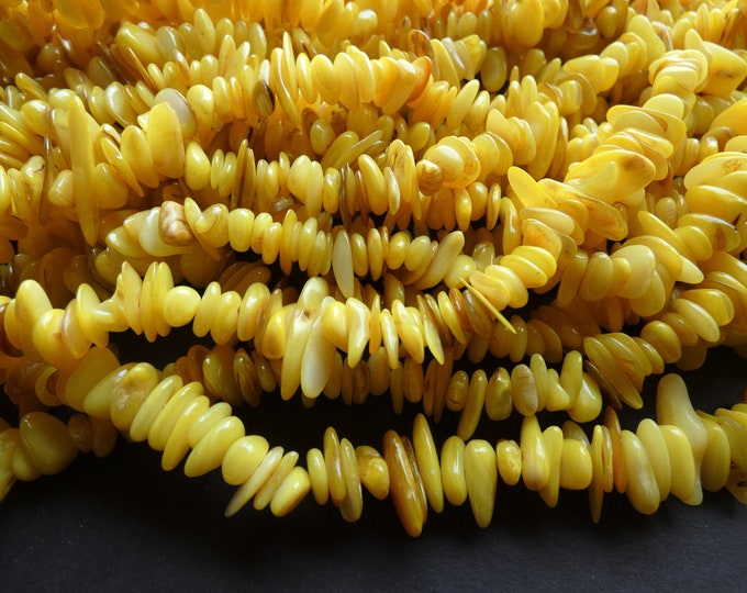 30 Inch 8-28mm Natural Freshwater Shell Bead Strand, Dyed, About 340-380 Beads, Yellow, Shell Nuggets & Chips, Drilled Seashell Bead
