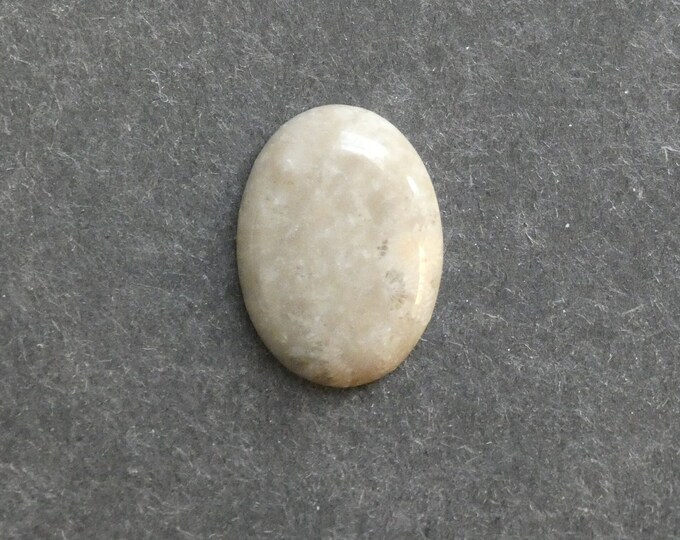 25x18mm Natural Fossil Coral Cabochon, Oval Cabochon, Natural Gemstone, Polished, Natural Stone, Gemstone Cabochon, One of a Kind, Unique